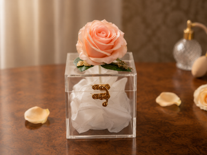 Acrylic Rose Gift Box – Clear Hinged Box with Gold Latch for Weddings & Gifts